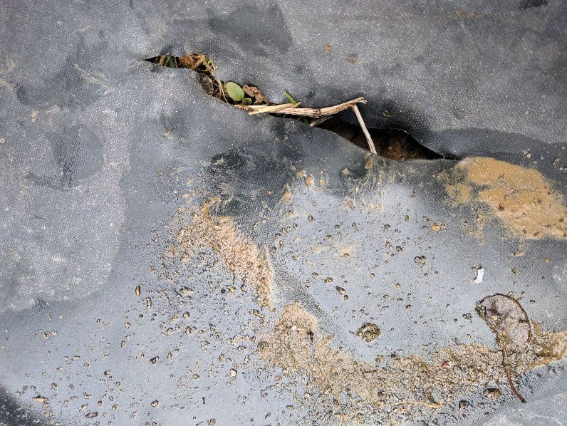 Une bâche EPDM utilisée pour étanchéifier le fond du bassin de jardin