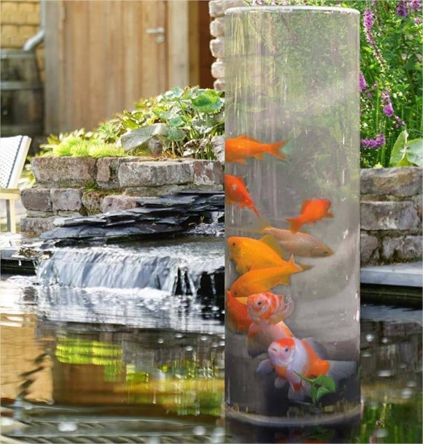 Quelle alimentation pour un poisson rouge? > Aquiflor - Jardinerie