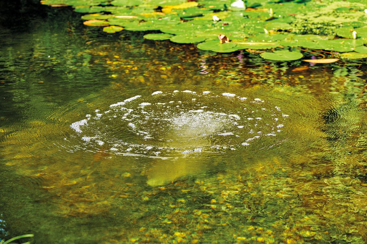 J'ai une fuite dans ma bâche. Que faire? > Aquiflor - Jardinerie Aquatique