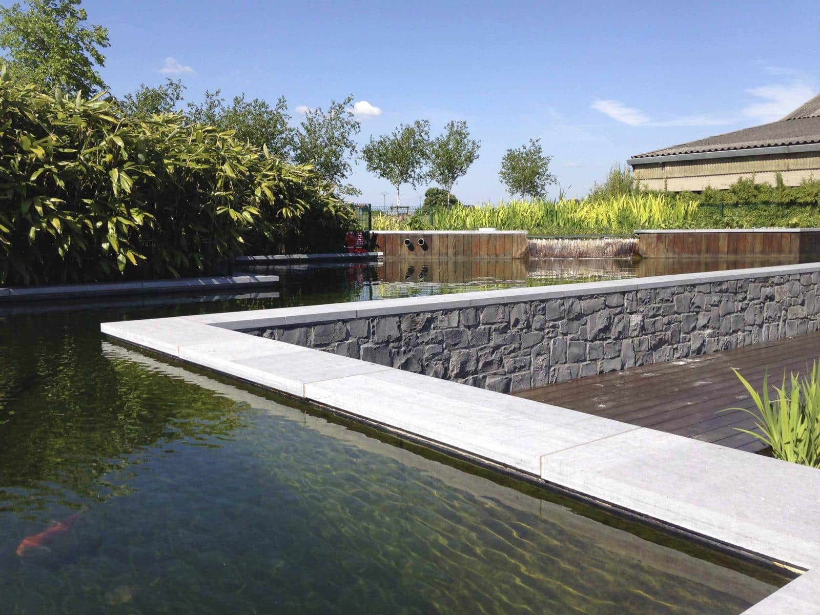 Comment choisir une pompe pour mon bassin? > Aquiflor - Jardinerie Aquatique