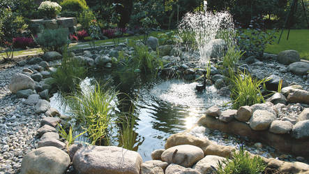 Que mettre dans le fond d'un bassin de jardin ?