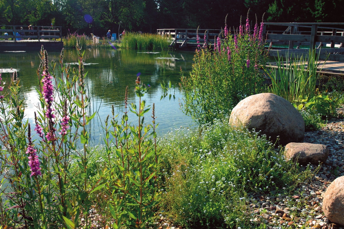 6 étapes pour construire un bassin de jardin réussi ou un étang