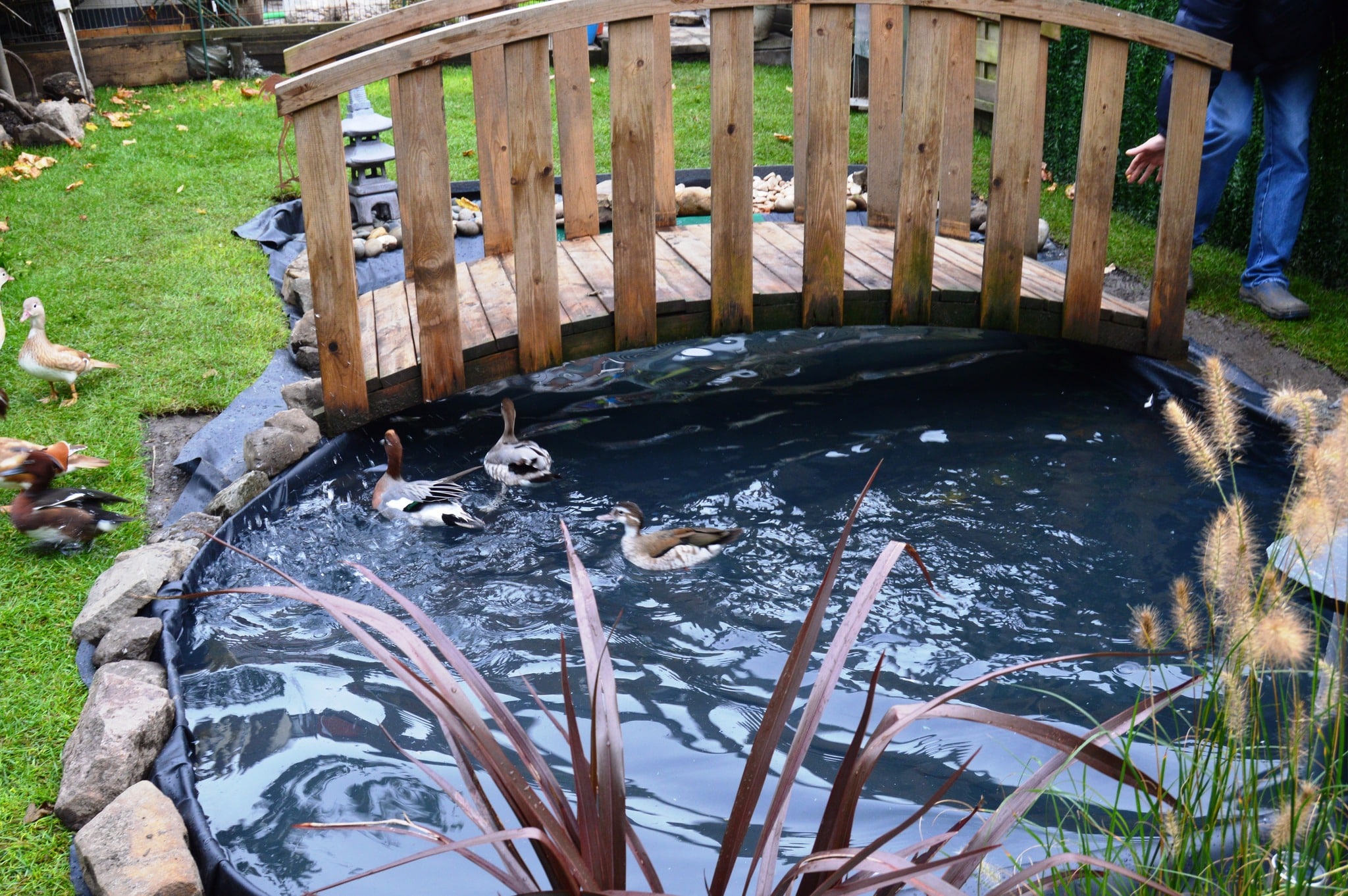 Filet anti-oiseaux pondéré supérieur pour étang de jardin et cage