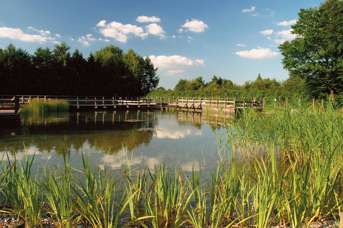 Est-ce que je peux utiliser une bâche agricole pour réaliser mon bassin?