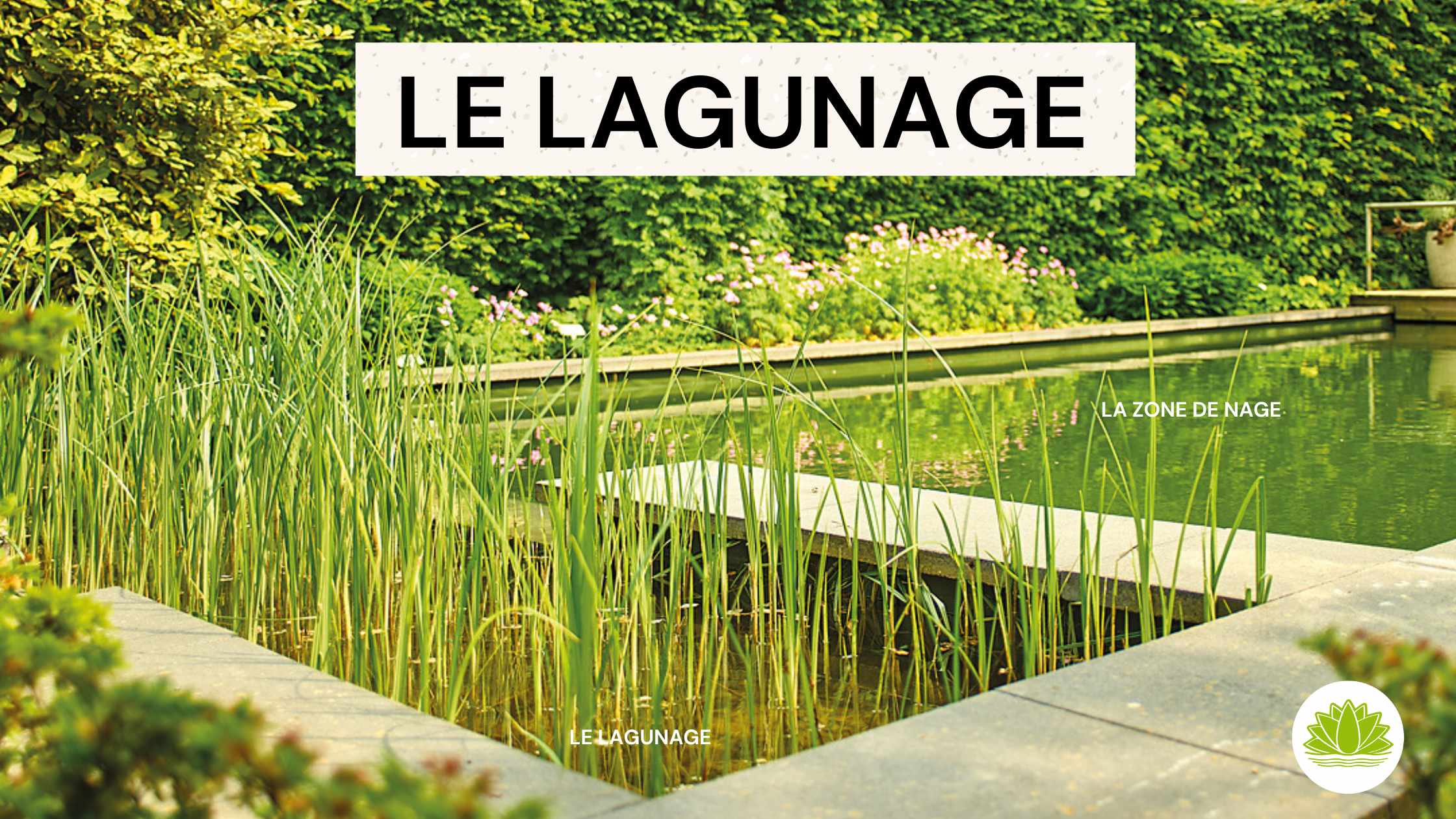 Bassin préformé 150 L : Création de bassin de jardin OASE jardin - botanic®