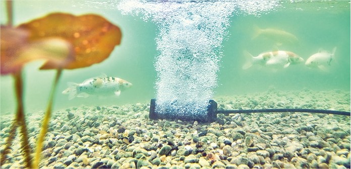 Tuyau de pompe à oxygène pour aquarium, tube d'aération, augmentation de  l'oxygène, aquarium, lac