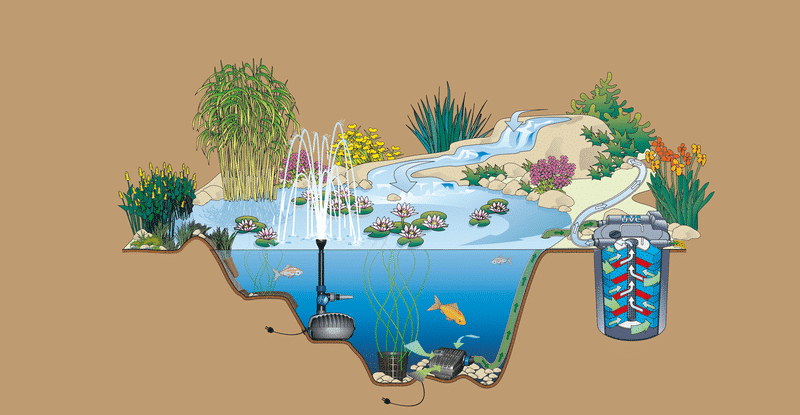 Construction et dimensionnement des étangs de baignade